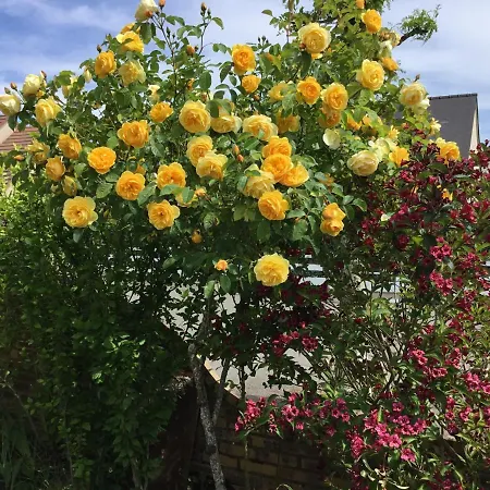 D'hotes 24 H Du Mans Et Le Mans Classic Bed & Breakfast