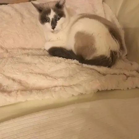 Bed & Breakfast D'hotes 24 H Du Mans Et Le Mans Classic *