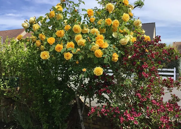 D’hôtes 24 H Du Mans Et Le Mans Classic Couette-café