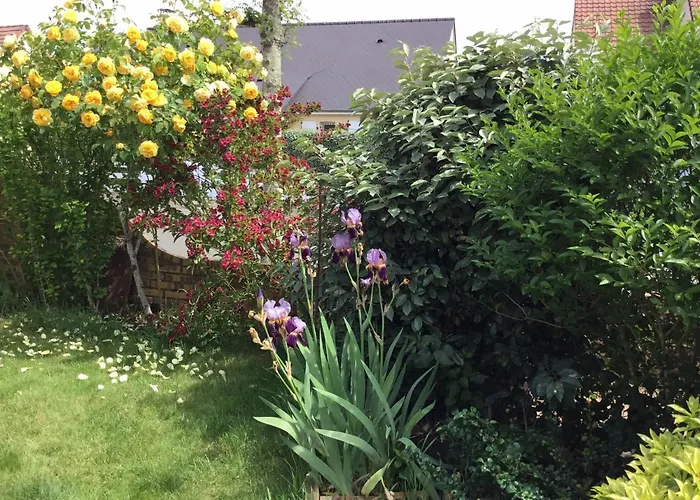 D’hôtes 24 H Du Mans Et Le Mans Classic Sargé Les Le Mans